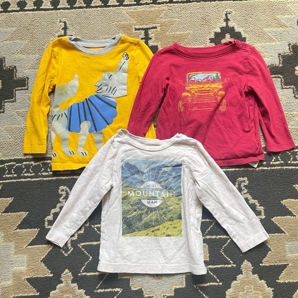 Bundle of Outdoor Longsleeves from old navy